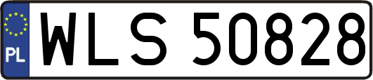 WLS50828