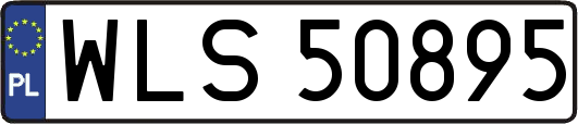 WLS50895
