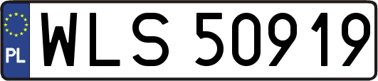 WLS50919