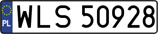 WLS50928