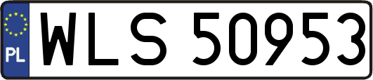 WLS50953