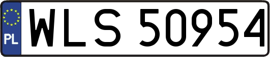 WLS50954