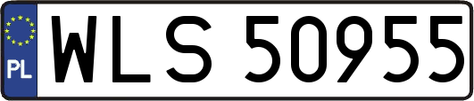 WLS50955