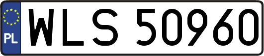 WLS50960