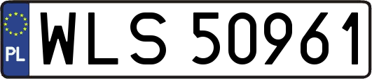 WLS50961