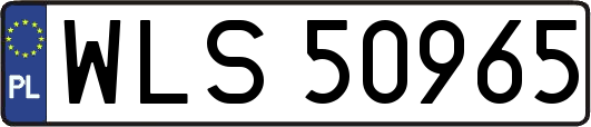 WLS50965