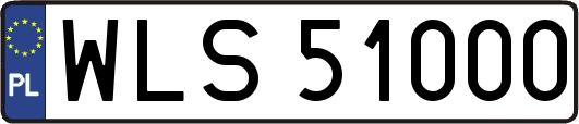 WLS51000