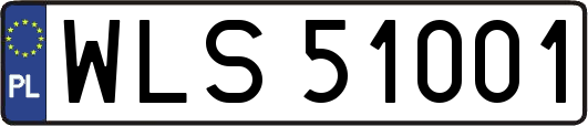 WLS51001