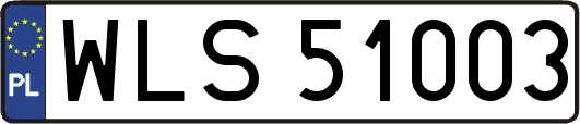 WLS51003