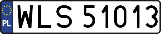 WLS51013