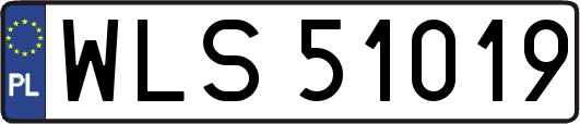 WLS51019