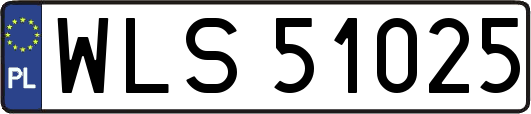 WLS51025