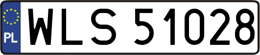 WLS51028