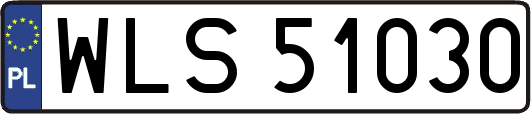 WLS51030