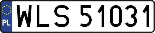 WLS51031