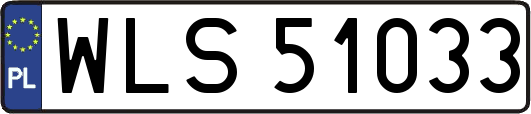 WLS51033