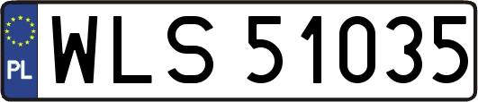 WLS51035