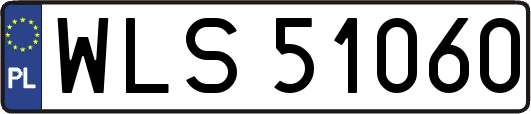 WLS51060