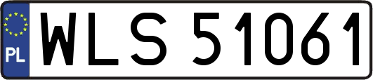 WLS51061