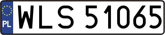 WLS51065