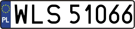 WLS51066