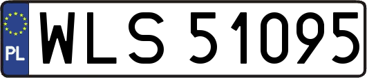 WLS51095