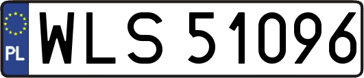 WLS51096