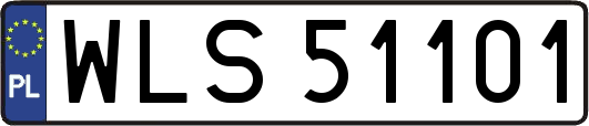 WLS51101