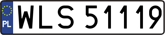 WLS51119
