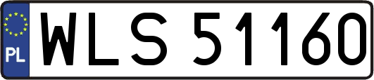 WLS51160