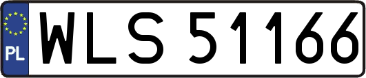 WLS51166