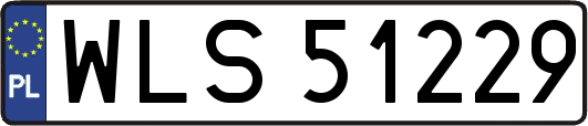 WLS51229