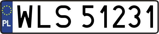 WLS51231