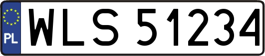 WLS51234