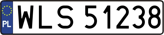 WLS51238