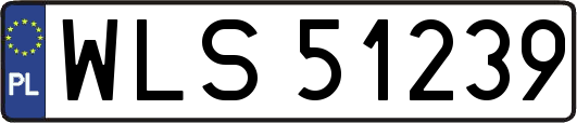 WLS51239