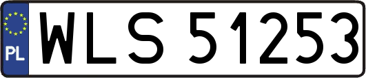 WLS51253