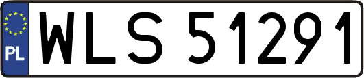 WLS51291