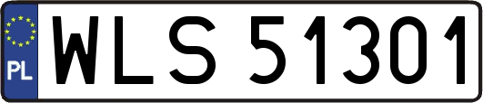 WLS51301