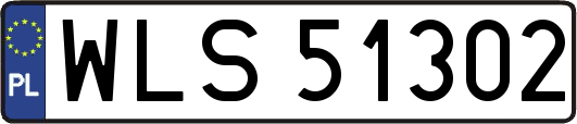 WLS51302