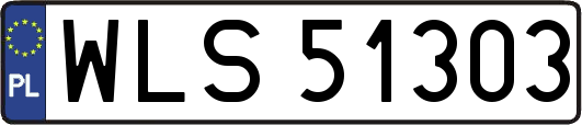 WLS51303