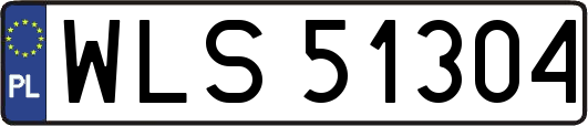 WLS51304