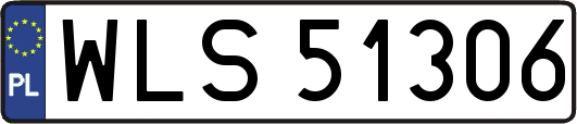 WLS51306