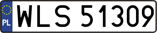 WLS51309