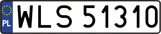 WLS51310