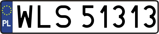 WLS51313