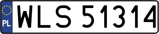 WLS51314