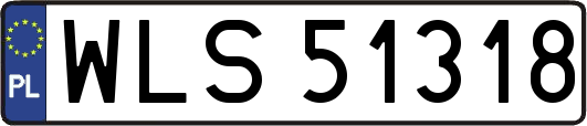 WLS51318
