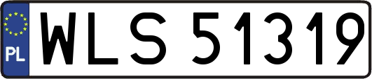 WLS51319