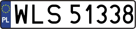 WLS51338